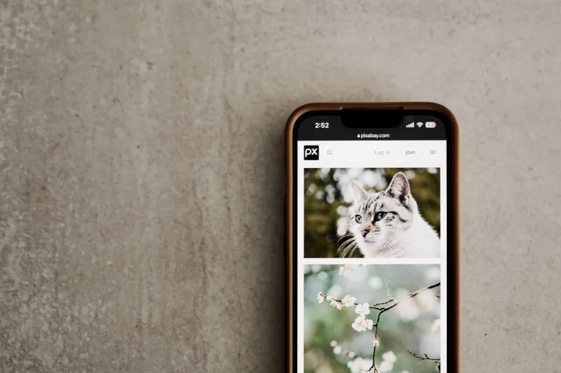 Tap, Save, Forget: The Compulsive Screenshot Habit We All Pretend Is Useful